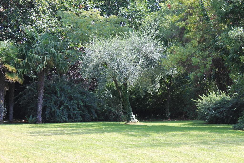 Villa Abbamer Grottaferrata Exterior foto